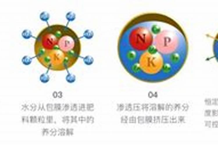 柑橘12月份可以施肥吗
