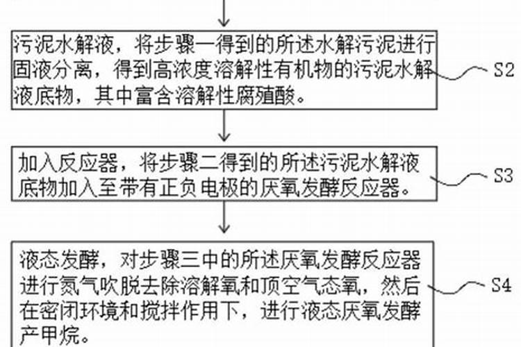 杜英树属楠木吗？