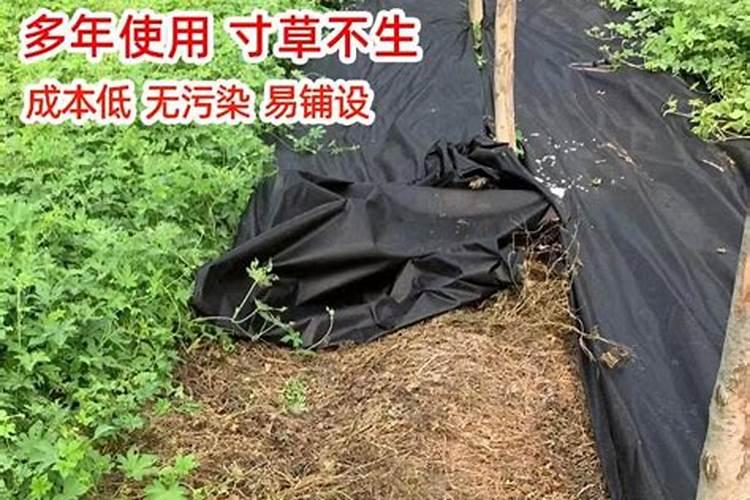 除草布的危害