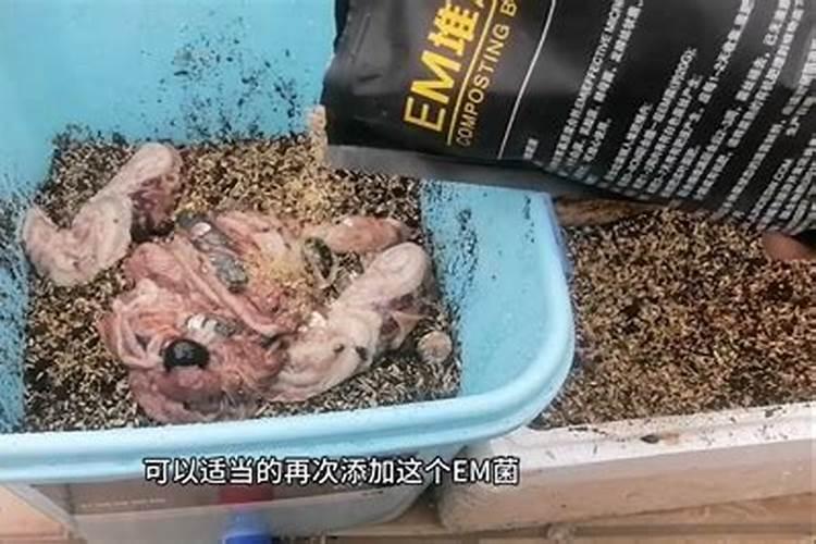 什么厂要用生物质颗粒