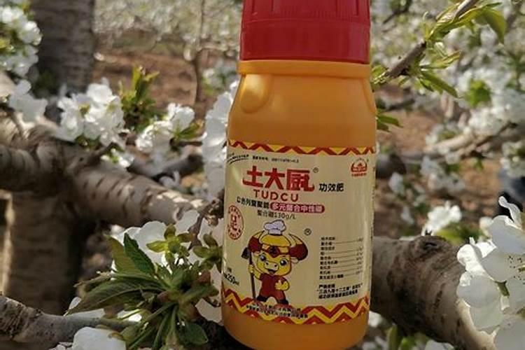 什么是氮肥 常见的氮肥有哪些