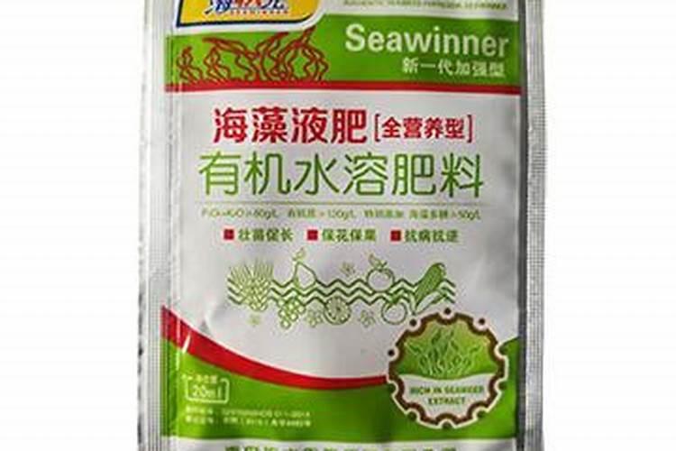 12月份种什么蔬菜