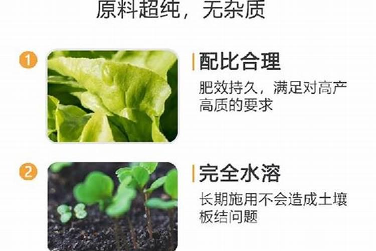 大量元素水溶肥施用几天,施用方法,注意事项