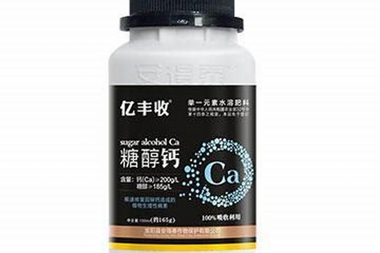 生蚝在哪里买比较便宜