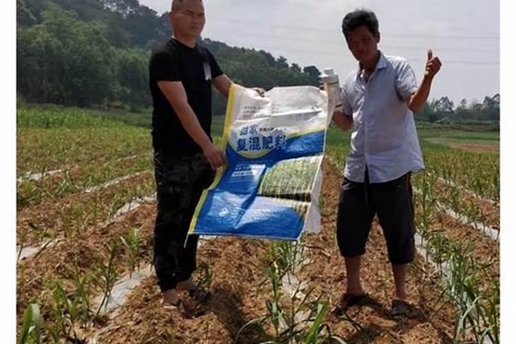 葡萄施肥时间和方法