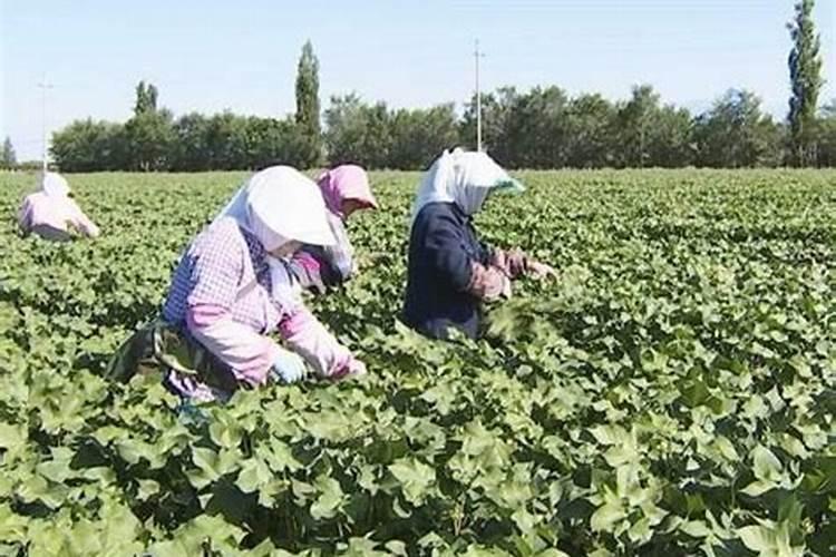 怎样保存肥料不容易变质