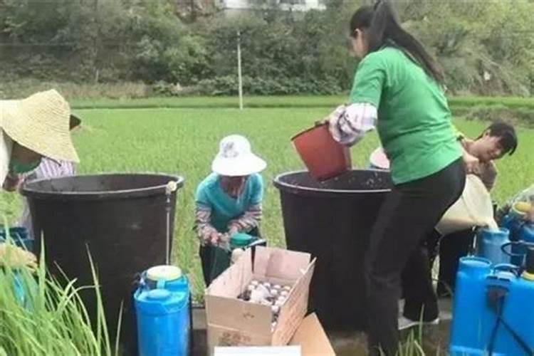 什么叫有机肥料