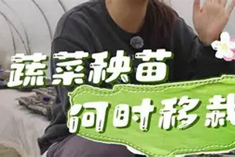 水稻钾肥什么时候施