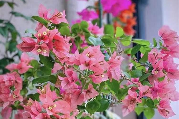 农产品销售计划700字5篇