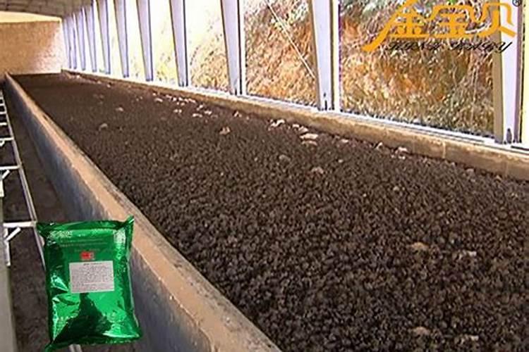 如何分辨真假磷肥