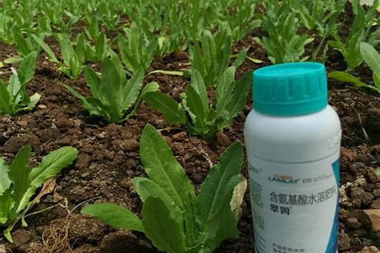 水溶肥怎么用效果好？一定注意这几点