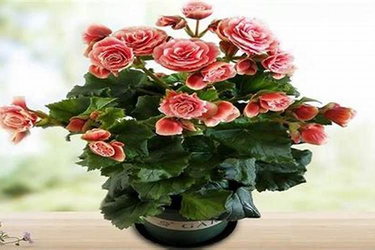 山东寿光巨能控股集团有限公司公司简介