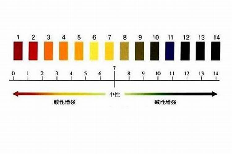 嘉兴有几个水果市场