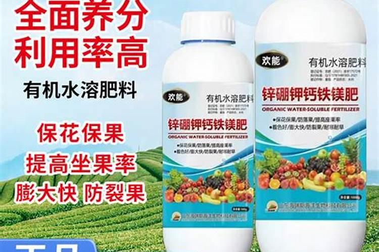 油松会不会得枝腐病？