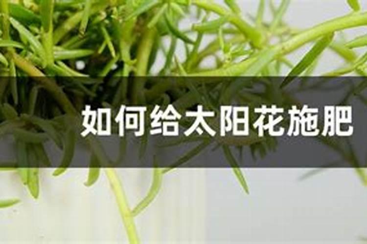 民族品牌骄傲Bagotte邦果远销海外欧洲市场前三!