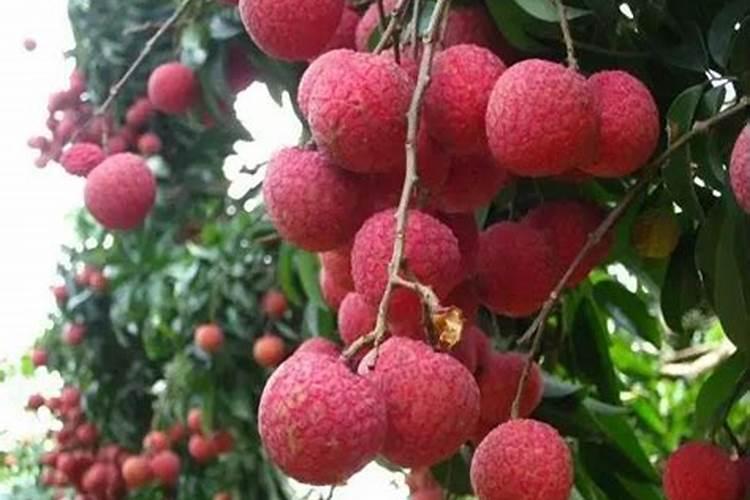 山东恩宝肥料靠谱吗