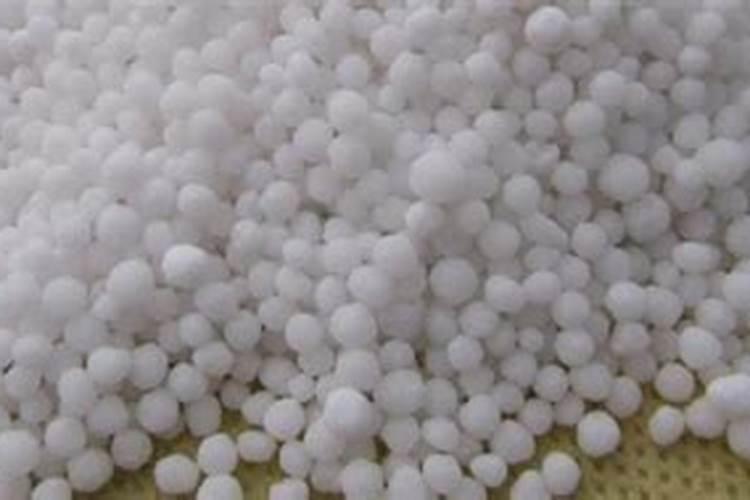 猕猴桃怎么种植管理