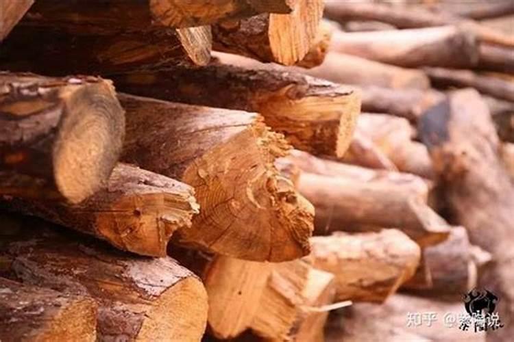 牡蛎钙固体饮料什么时候喝最好