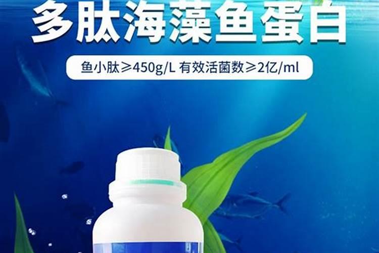 当归红叶病怎么治理