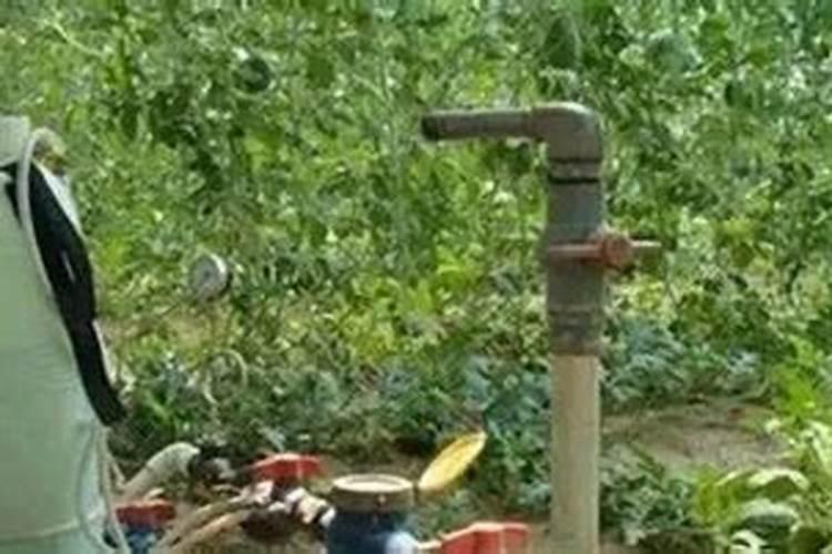 水溶肥施用方法与注意事项