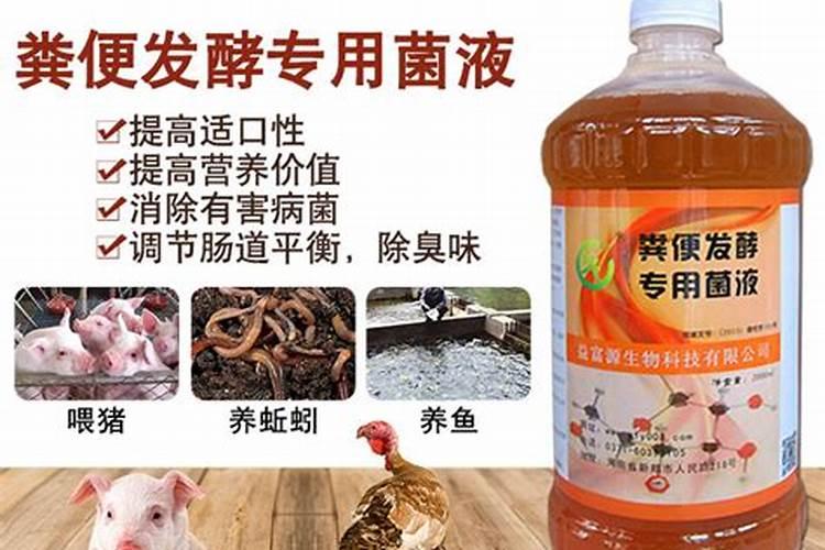 家庭自制磷钾肥有哪些 家庭自制磷钾肥原材料有哪些