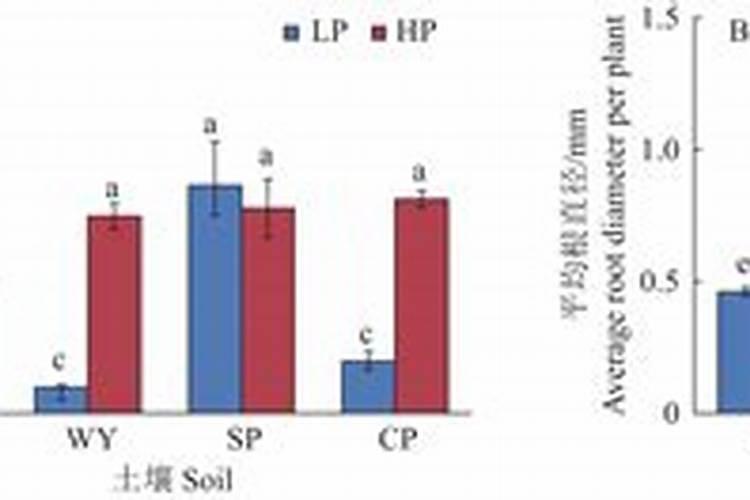 厦门市佳嘉达五金股份有限公司怎么样？