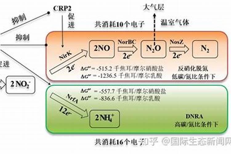 氮在土壤中是如何转化的