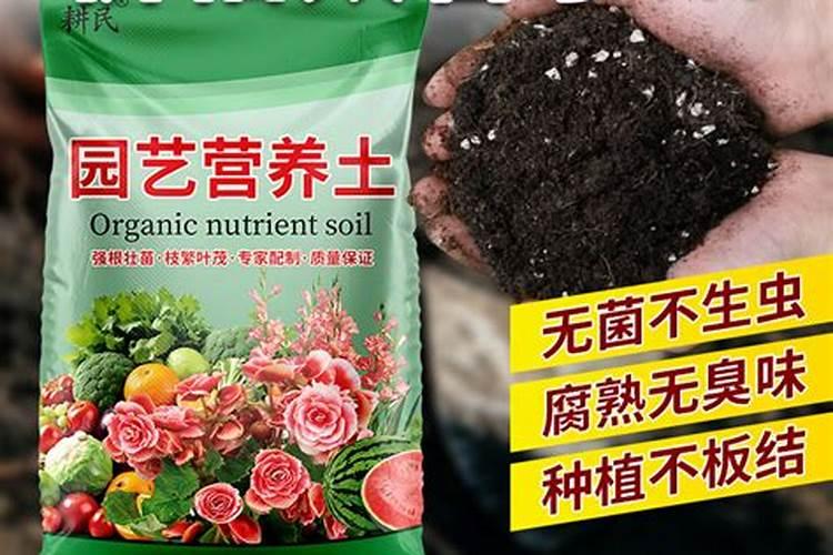 养花用磷钾肥有哪些