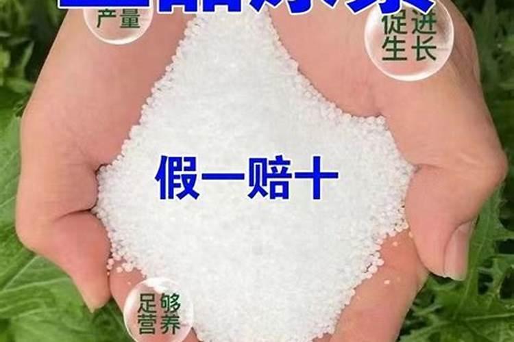 临猗好玩的公园有哪些？