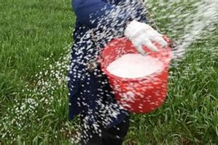 种花生的复合肥氮磷钾可用作水稻基肥及追肥吗？