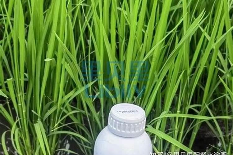 肥料是什么做的