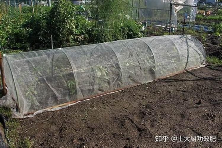 江西蔬菜叶面肥木醋液