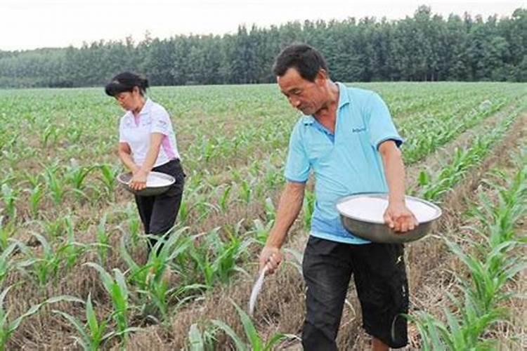 脲铵氮肥和尿素的区别