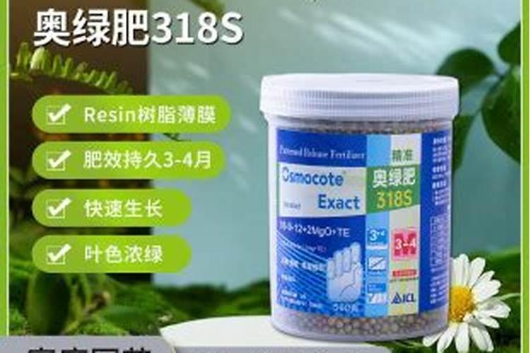 绣球花在花期时可以施肥吗？