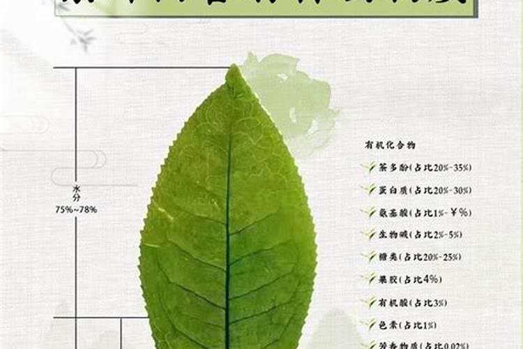 茶园如何使用钾肥？