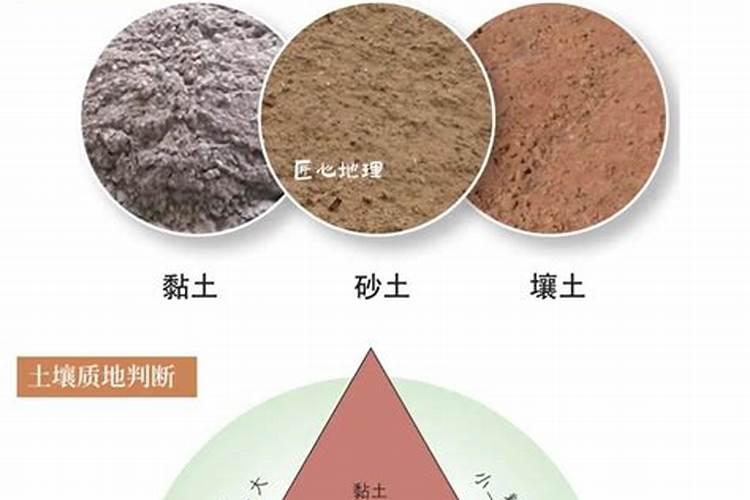 氮肥分为哪些氮肥