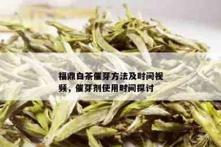白茶打农药吗