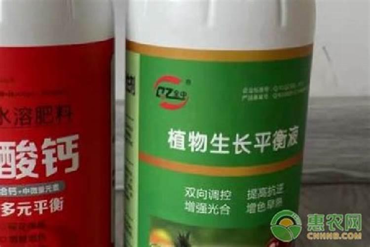 植物生长平衡液是什么东西做成的