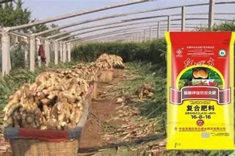 植物开花用什么肥料植物开花适合用什么肥料