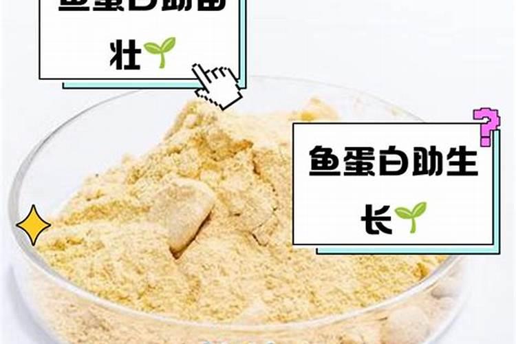 氨基酸、多肽、鱼蛋白:农业肥料界的 “三兄弟” 谁更牛？