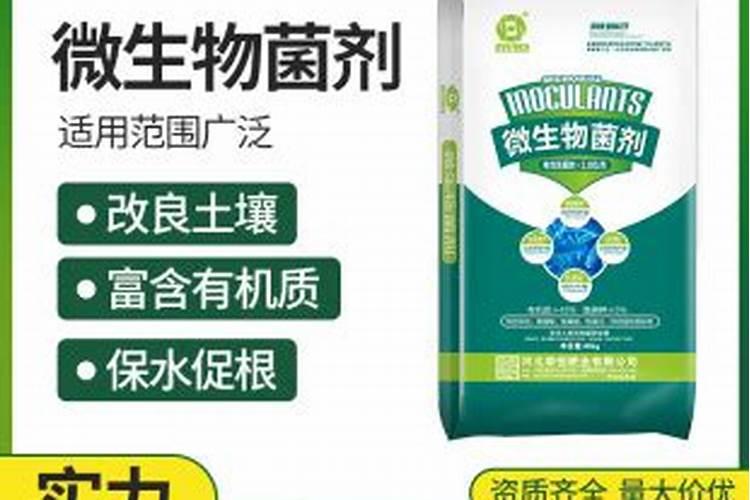 无花果挂果期施什么肥？