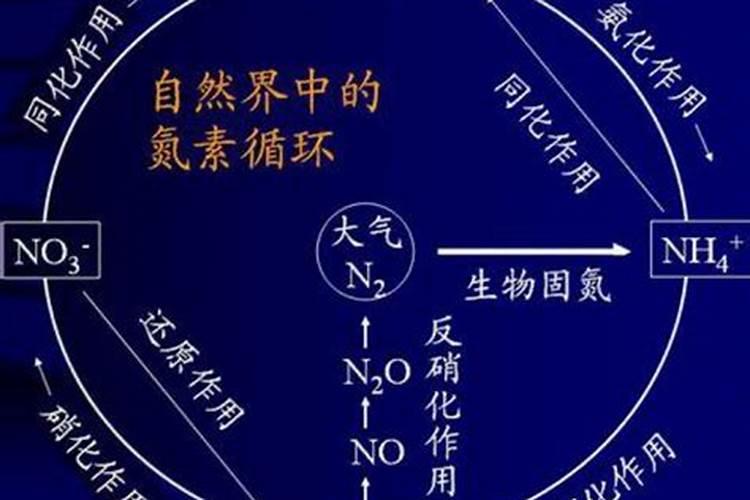 氢氧化氮是什么