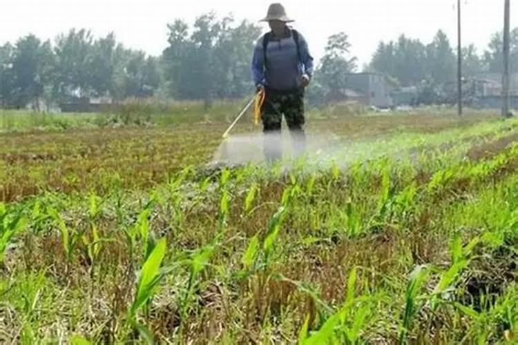 无棣县信阳镇有多少厂家