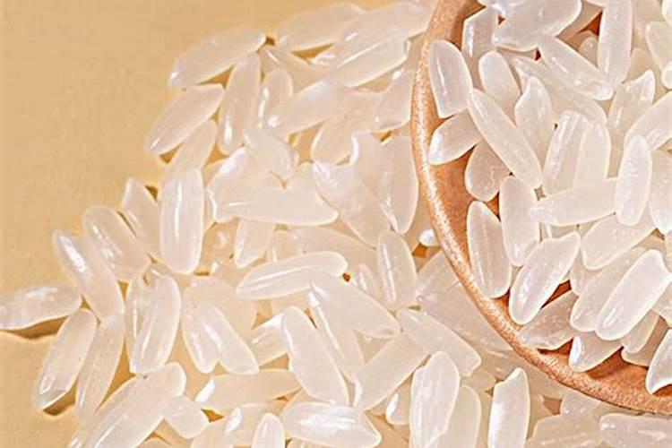 海藻肥都十年了,你还在被忽悠吗？一篇文章让你了解透