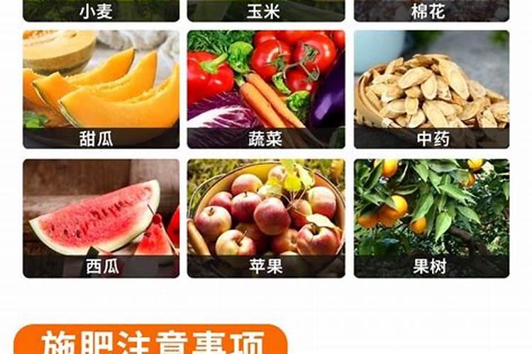 矿源黄腐酸钾哪个厂家好