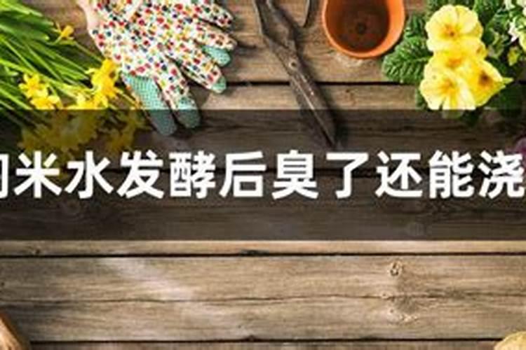 罗布泊水溶肥的主要作用是什么？