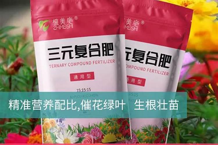 蚯蚓有毒吗