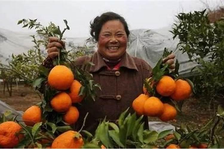 蚯蚓土可以直接种花吗