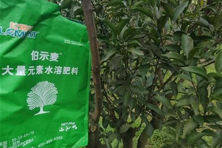 园林绿化设计的方法