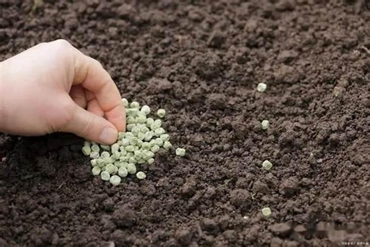 花肥推荐:花肥用什么好,花肥怎么用,花肥的品牌有哪些？花肥多了怎么办...